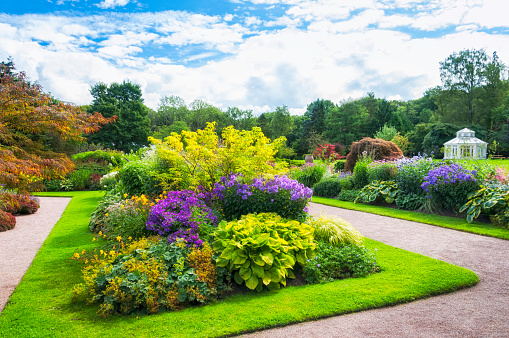 Multicolor blooming front garden. Outdoor summer gardening. Multi-colored flower bed in the park. Lots of beautiful summer flowers. Lush bright flowering in the garden.