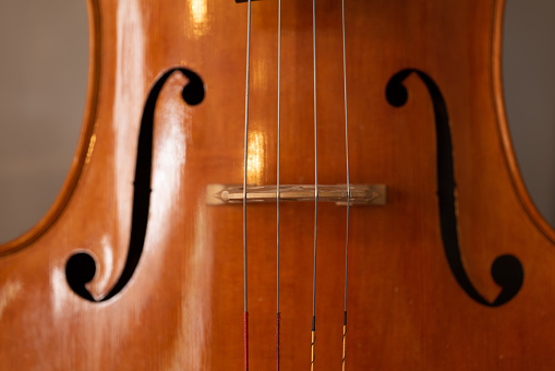 Detail of a string musical instrument