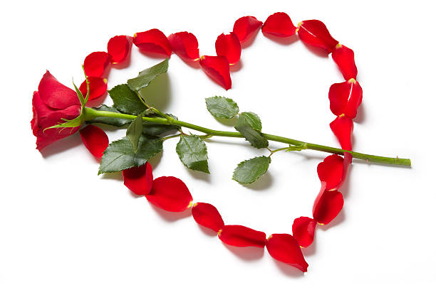 istock Red petals in heart shape with rose 160654136