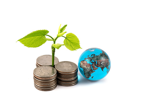 Young sprout with green leaves, coins and a glass globe on a white background