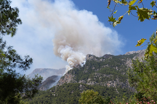 Forest fire in Kemer,  Antalya, Turkiye. Kemer is one of the most popular tourist destinations on the west coast of Antalya.