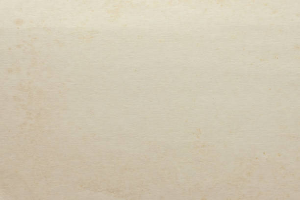 istock old vintage paper texture background, page for design 1606621017
