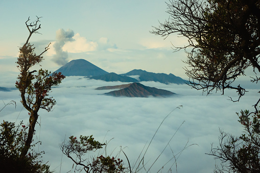 Landscape of Mount Bromo in morning