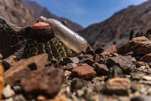 A poorly disposed bottle slowly decomposes under the desert sun