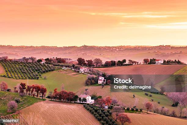 Sunrise Toscana Vineyard - Fotografie stock e altre immagini di Agricoltura - Agricoltura, Ambientazione esterna, Arancione