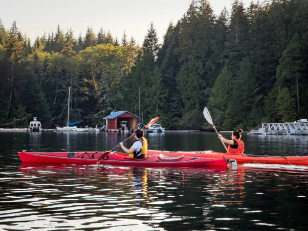 istock Multiracial Sisters Kayaking at Sunset Along Secluded Forested Coastline 1606696491