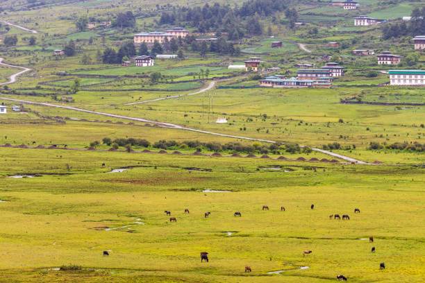 istock Idyllic landscape of Bhutan's countryside 1606756927