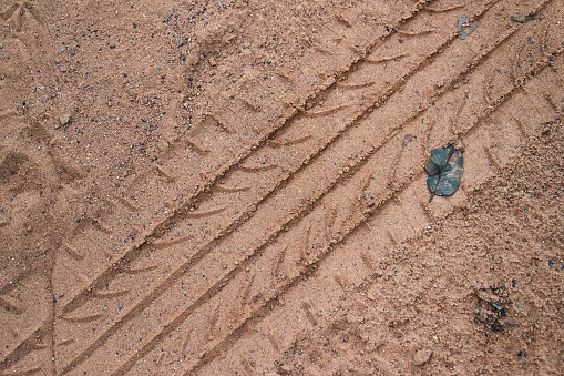 Wheel tracks on the soil, close-up of car tire tracks