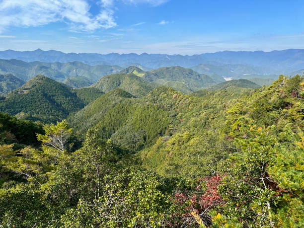 istock Kumano Kodo Forested Mountain Overlook 1606886854