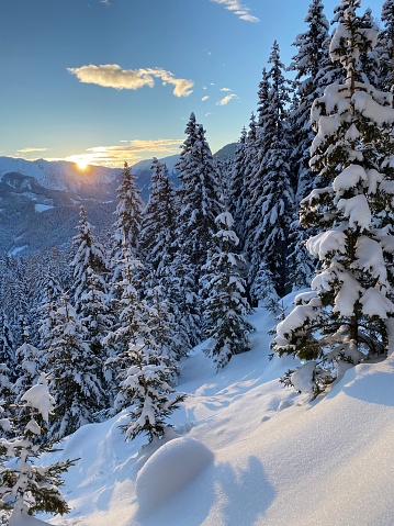 Wintertime in Austria