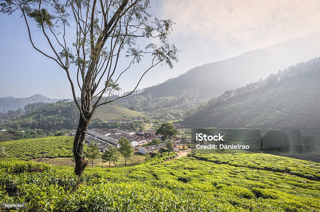 Travailleurs quartier résidentiel, plantation de thé de Munnar, Kerala, Inde. - Photo de Aube libre de droits