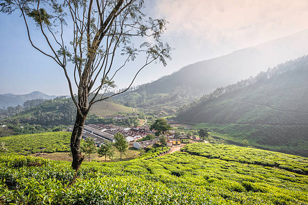 istock workers' residential area, tea plantation, Munnar, Kerala, India. 160696260