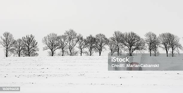 Paisaje De Invierno Bare Árboles En El Campo De La Nieve Foto de stock y más banco de imágenes de Nieve