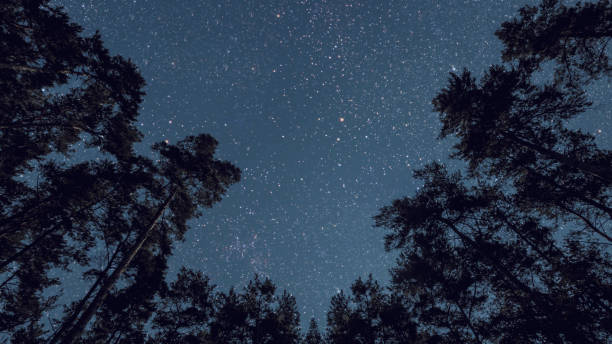 istock night sky in the forest with stars and moon 1607025359