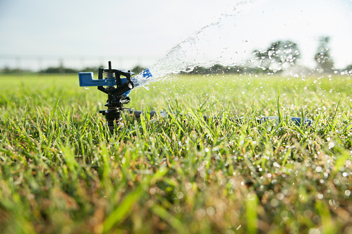 water sprinkler spraying water on a lawn