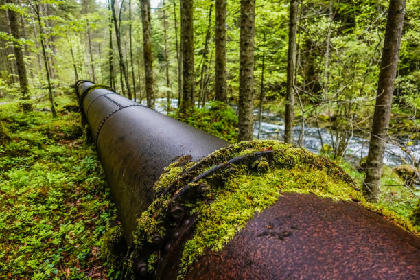 istock long old rusty pipeline for water supply with green moss in the nature 1607062145