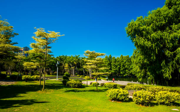 Beautiful campus of Xiamen University