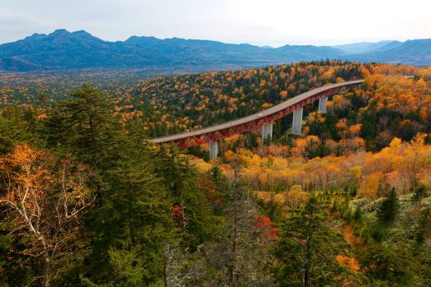 Panoramic view of Matsumi Bridge crossing a "sea of trees" in Mikuni Touge Pass, with fall colors on the mountainside & majestic mountains in background, in Daisetsuzan National Park, Hokkaido, Japan Panoramic view of Matsumi Bridge crossing a "sea of trees" in Mikuni Touge Pass, with fall colors on the mountainside & majestic mountains in background, in Daisetsuzan National Park, Hokkaido, Japan mikuni pass stock pictures, royalty-free photos & images