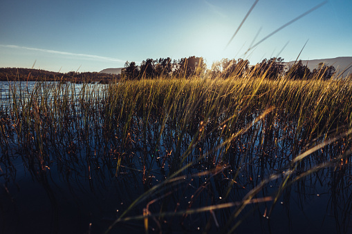 Shore of a lake below a cloudy sky in autumn