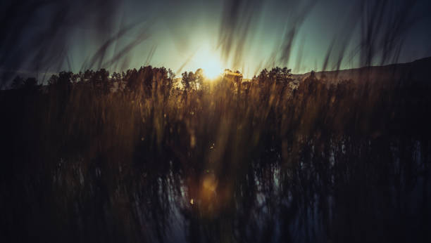 Outdoor adventures in Norway: Idyllic lake landscape at sunset, pristine ecosystem