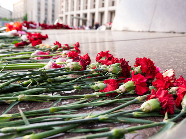 istock Carnations flowers on memorial monument on granite 1607074643
