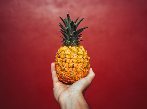 Male human hand holding a pineapple