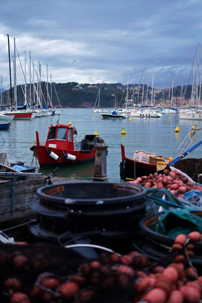 Fishing boats in the harbour of Lerici. stock photo
