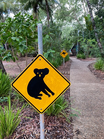 A typical yellow Australian road sign warning for koalas crossing, with a sign warning for kangaroos crossing in the background, on Magnetic Island, Queensland, Australia