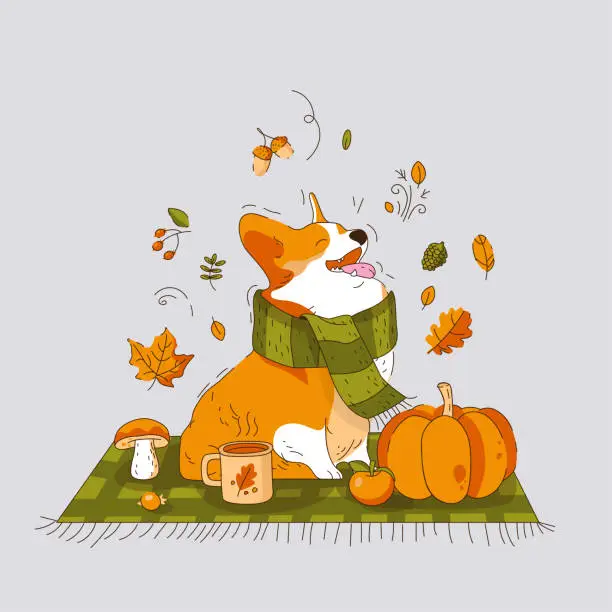 Vector illustration of A Corgi Dog in a Scarf is Sitting on a blanket.. Picnic in Autumn style. Vector illustration.