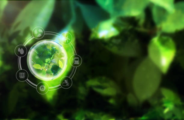 istock Crystal ball green leaf blurred dark greenery background, ecofriendly, environment background 1607203486