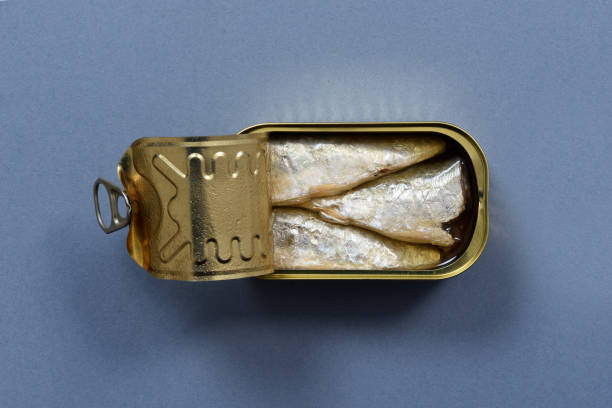 istock can sardines on gray background 1607212001