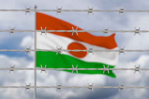 Niger flag and metal steel barbed wire on sky background. 3D illustration Niger flag and metal steel barbed wire on sky background. 3D illustration niger state stock pictures, royalty-free photos & images