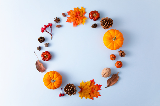Autumn Harvest and Holiday still life. Happy Thanksgiving Background. Selection of various pumpkins on dark wooden background. Autumn vegetables and seasonal decorations.