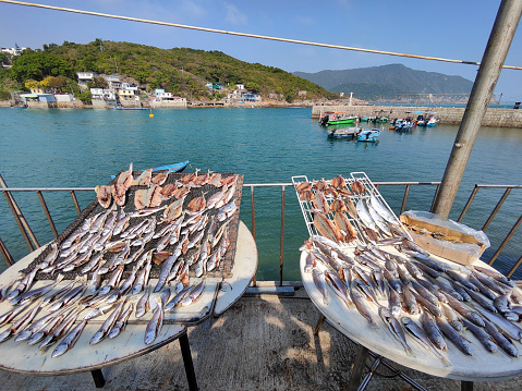 Fishes drying under the sun at Po Toi O, a small fishing village at Clear Water Bay Peninsula, Sai Kung, New Territories, Hong Kong.