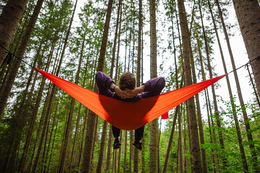 happy man in hammock in the middle of the forest copy space