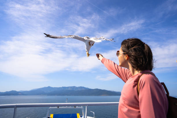 istock Feeding the seagull at sea 1607351607