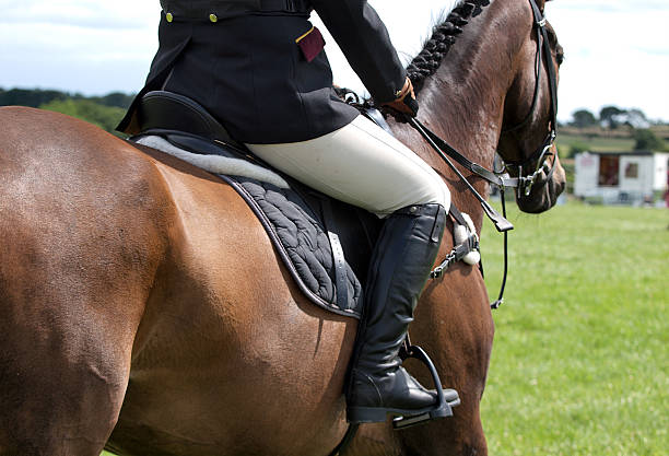 istock Horse and Rider 160738630