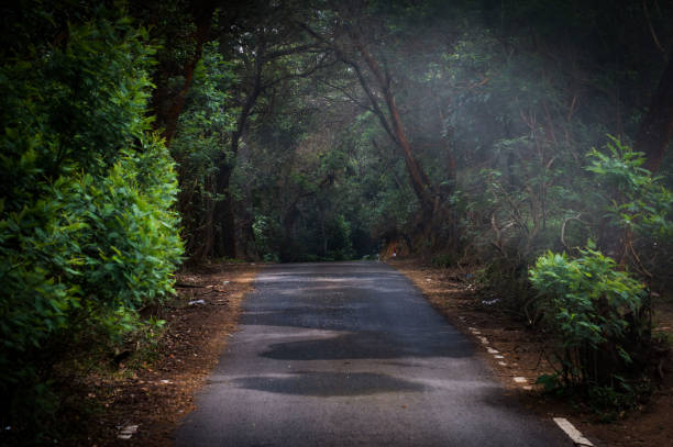 istock Landscape from hillstation, kinnakkora, Ooty 1607392046
