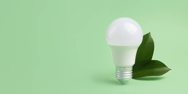 istock Led bulb with frsh green leafs,green energy concept.Large banner with negative space. 1607394188