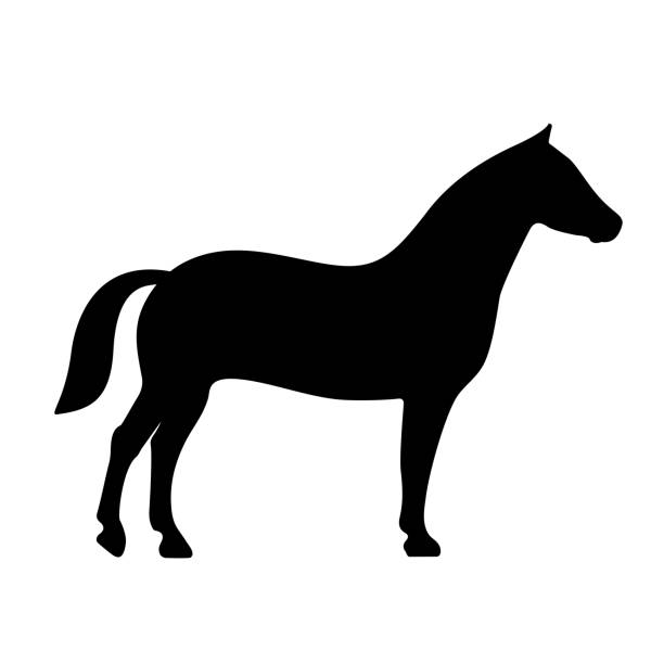 vektorsymbol für pferdesilhouette - horse sign black vector stock-grafiken, -clipart, -cartoons und -symbole