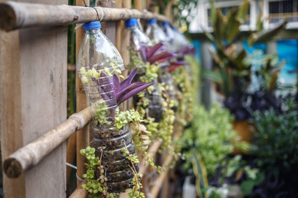 istock Creative ideas for making plant holders from recycled plastic bottles. These can be used to decorate your garden or home while reducing packaging waste. 1607443195