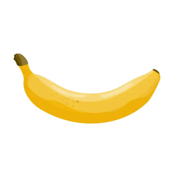 Vector illustration of banana vector illustation