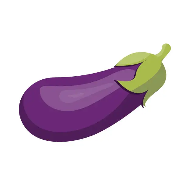 Vector illustration of Eggplant vector illustration