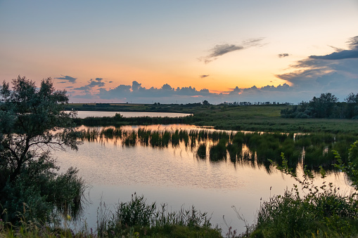 Bay of a river with reeds and trees on the banks during sunset, countryside nature on a summer evening
