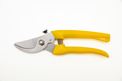 Garden pruning shears closed, yellow color handle isolated on white background, top view.
