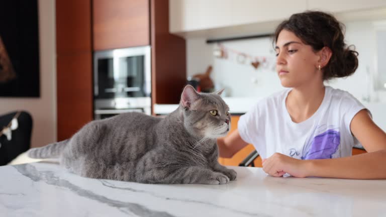 The teenage girl grooming her cat's fur.Pet care.