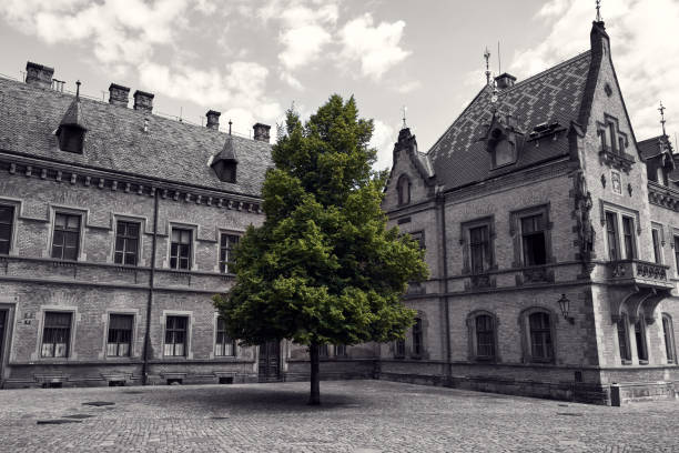 istock Green tree at Praha Cathedral 1607513554