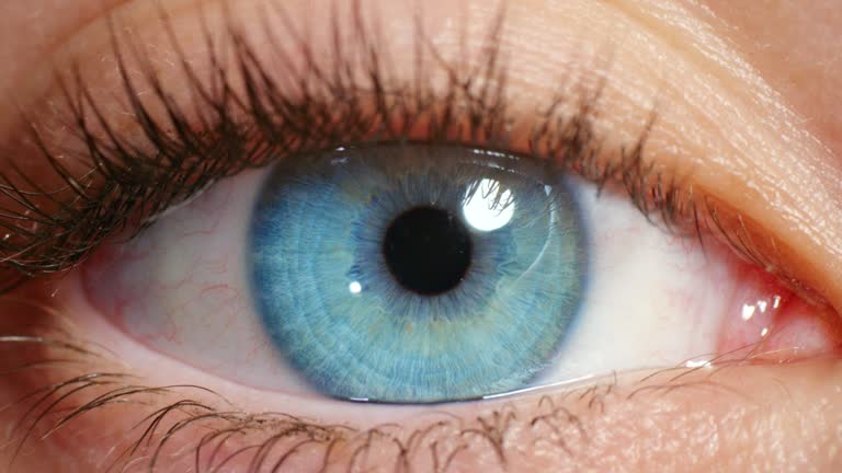 Closeup of a woman opening her blue eye with her pupils dilating with beautiful long eyelashes. Macro zoom of a girl with optical eyesight and a human eyeball vision with a iris, sclera and tear duct