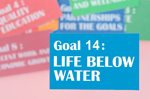 Goal 14 : Life Below Water. The SDGs 17 development goals environment. Environment Development concepts.