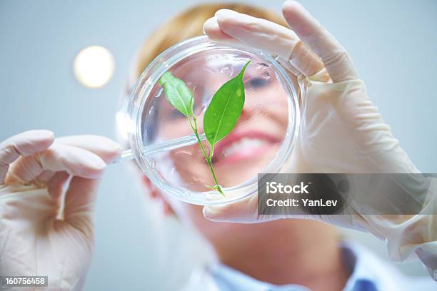 Female Scientist Of Biotechnology Stock Photo - Download Image Now - Laboratory, Plant, Biology